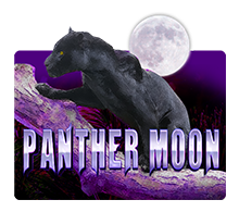 PantherMoon